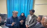 معاون درمان وزیر بهداشت ازبیمارستان محلی شهدای اندیکا بازدید کرد. 